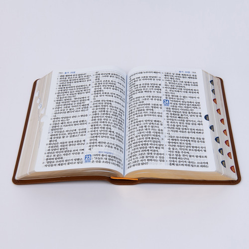큰글 쉬운성경 - 특대단본 / 다크브라운