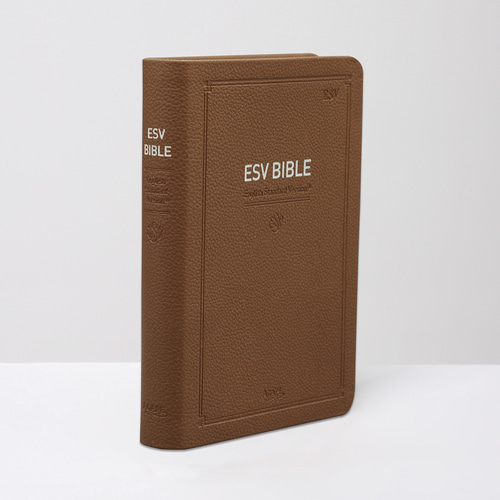 영문 EVS BIBLE - EVS / 중단본 / 브라운
