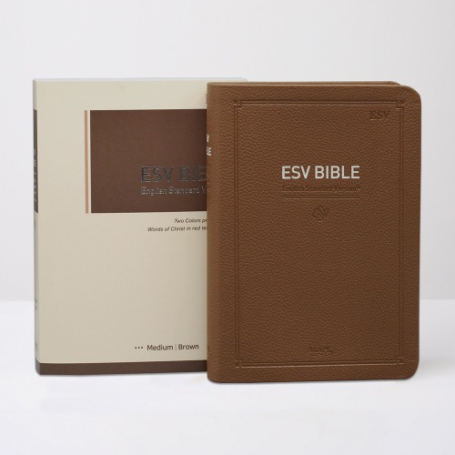 영문 EVS BIBLE - EVS / 중단본 / 브라운